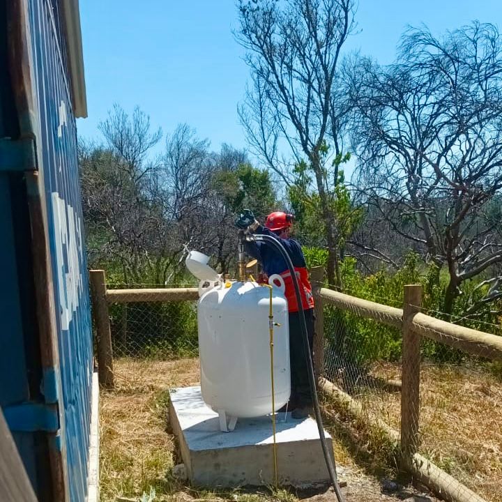 Proyecto 4
